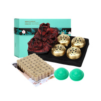 宝康林 无烟艾灸盒装随身灸通用四联纯铜艾柱装家用仪器中医保健驱寒便携式艾灸仪家用熏蒸仪