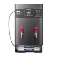 志高(CHIGO) 电开水器商用开水机热水箱开水炉60L工厂过滤烧水器热水机3KW 30L/3KW数控带过滤款