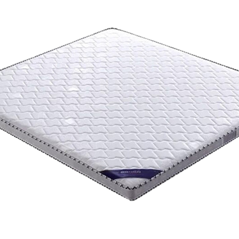 [理政]家居床垫 天然环保 椰棕床垫 简约现代 棕榈垫 单双人床垫