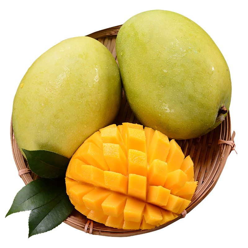 四川攀枝花凯特芒果5斤装 非海南贵妃芒 新鲜水果