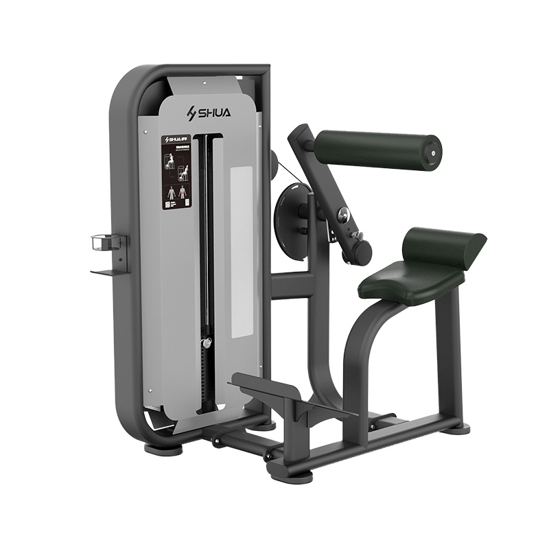 舒华健身器材健身房力量训练器背肌伸展训练器SH-G6817