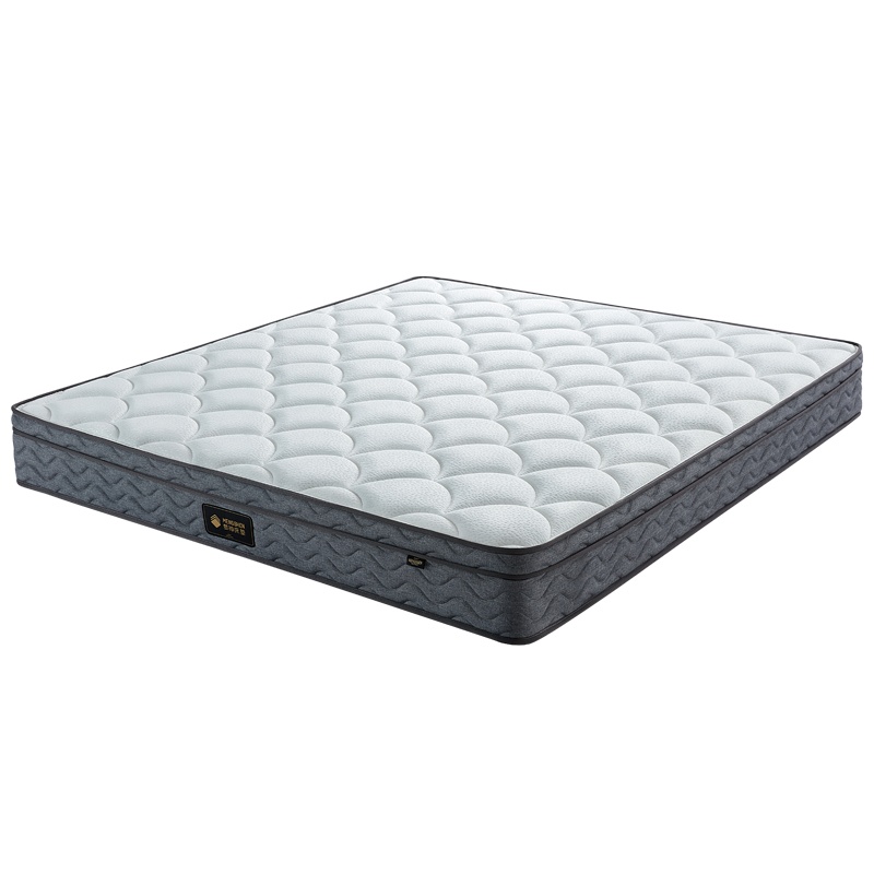 梦神椰棕床垫棕垫 加硬加厚棕榈硬垫席梦思 护脊抗菌单双人弹簧床垫舒伯特