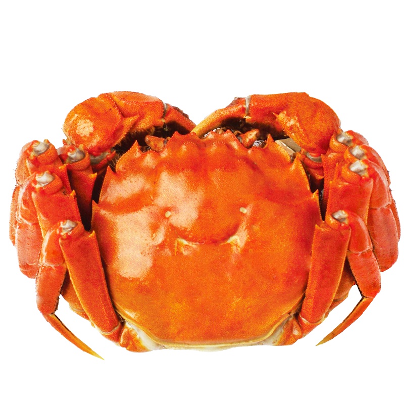 珍鲜汇 大闸蟹实物礼盒2.5-3.0两/只 8只装 鲜活实物螃蟹