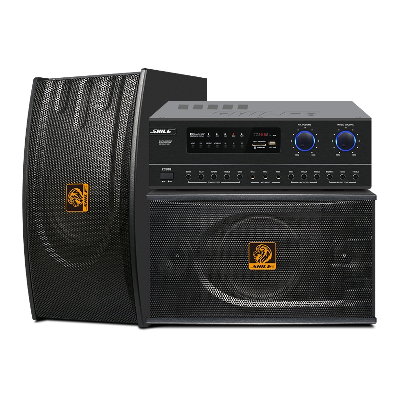 狮乐(SHILE)会议室音响组合套装蓝牙功放壁挂音箱无线话筒会议室背景音乐套装108功放+118音箱黑两只