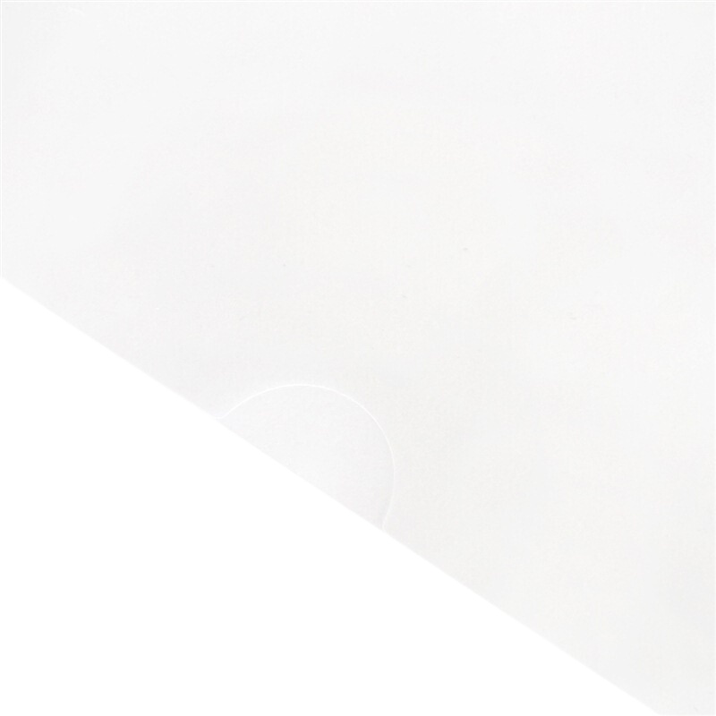 得力 5700 A4文件夹加厚二页式L型 100只/组