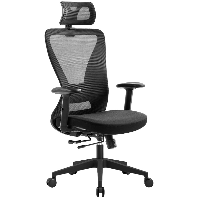 NOEL护腰办公椅 人体工学办公椅Lalo-H黑色