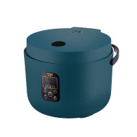 家實(JIA Shi) 智能电饭煲厚釜球胆3L家用多功能电饭锅小型小家电电器蒸饭锅礼品锅煲北欧绿