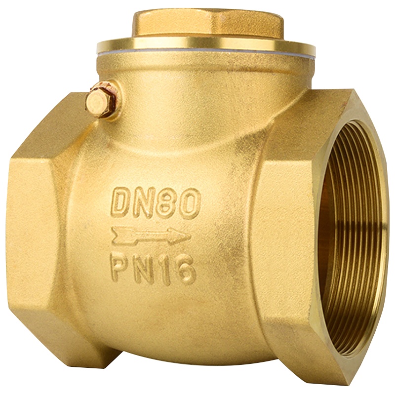 海斯迪克 gnjz-20 黄铜内螺纹止回阀 硬密封内丝隔膜 卧式旋启式手动逆止阀单向阀 DN80 3