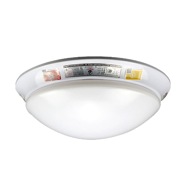 LED吸顶应急灯18W