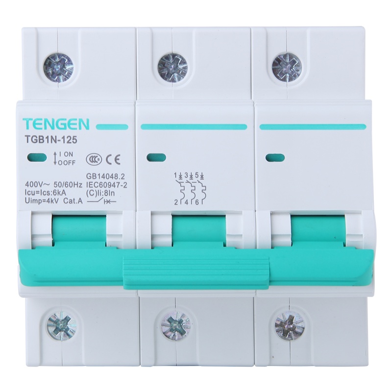 天正电气 空气开关 TGBIN-125 3P D 100A 6KA 01060280035 微型断路器