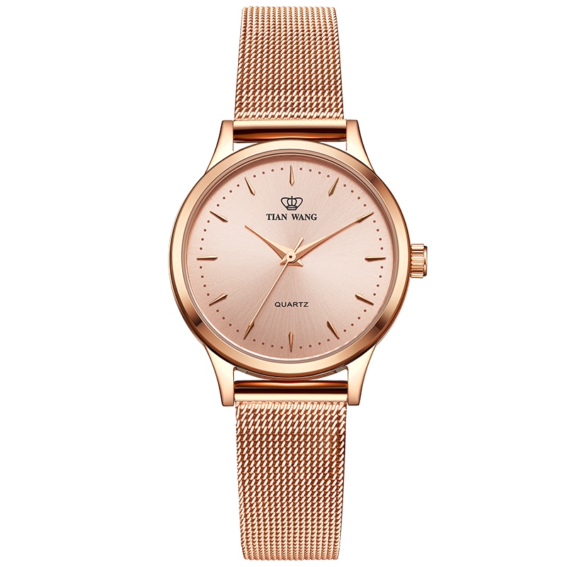 天王表手表 星辰系列女时尚潮流简约女表细带防水石英表精致小米带女士手表3998