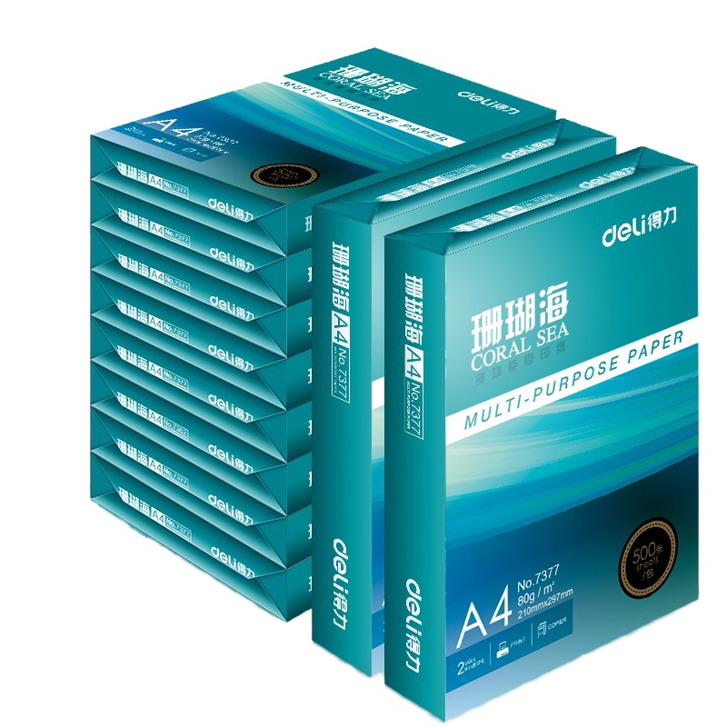 得力(deli)珊瑚海 80g A4 复印纸 中档款打印纸 500张包 10包1箱(整箱5000张)