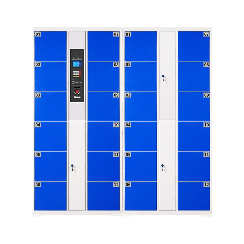 振奥 电子存包柜超市商场员工寄存柜红外条码指纹刷卡人脸识别储物柜24门