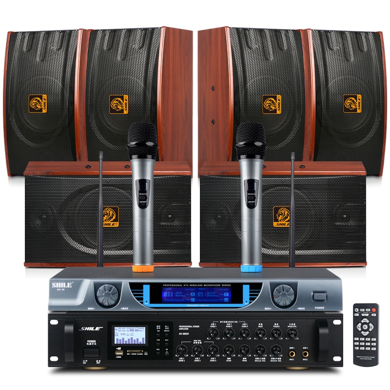 狮乐会议室音响组合套装（功放+壁挂音箱）专业会议背景音乐音响系统可选无线话筒套餐 8820+118红*6+09话筒