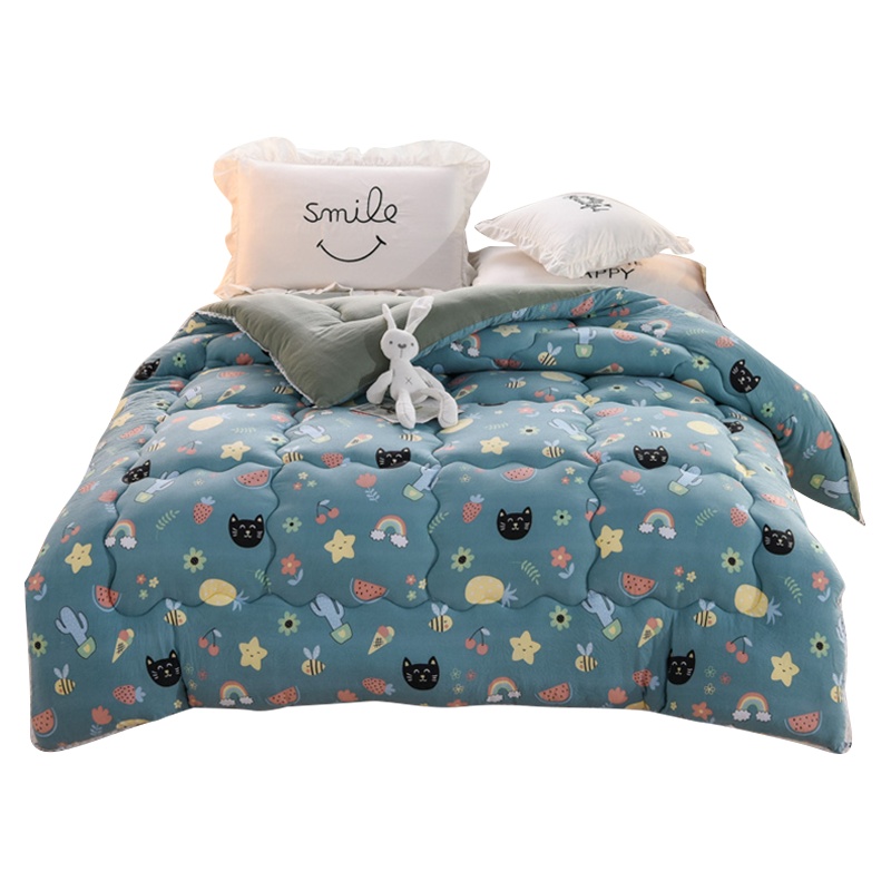 泰念Tai nian 冬被水洗棉加厚保暖纤维被春秋被芯印花斜纹被子单人学生宿舍被双人被褥冬被保暖被芯双人被子