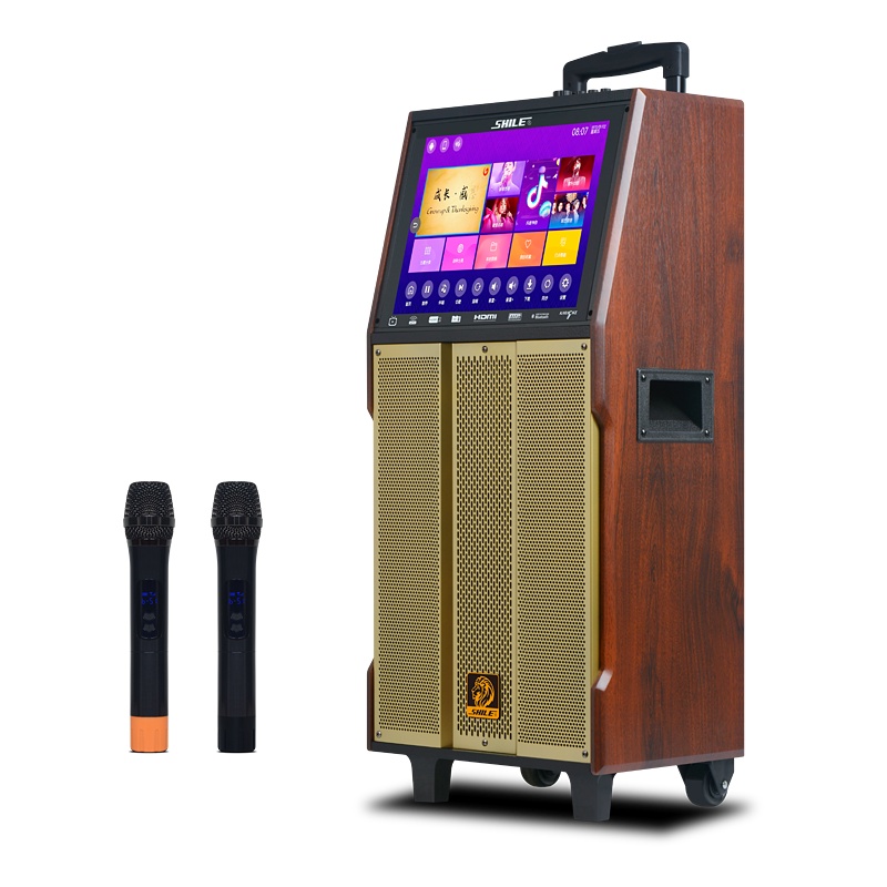 狮乐（SHILE）和谐三号视频音箱三分频KTV一体机户外便携式电瓶音箱带无线话筒
