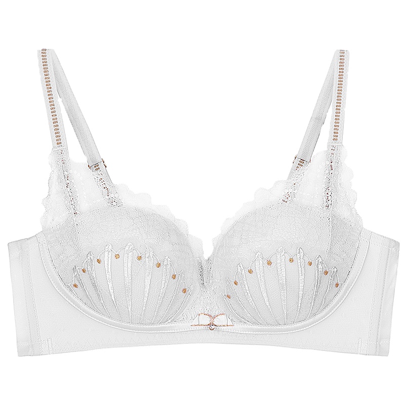 都市丽人时尚气质侧收上托女士内衣聚拢无钢圈文胸罩1B0662