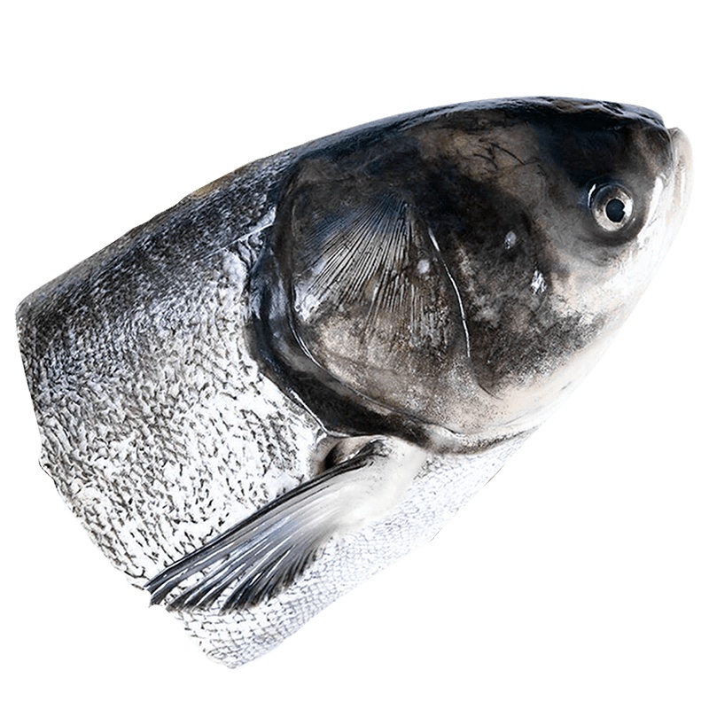 千岛湖 生态鱼头鲢鱼头剁椒鱼头鱼头泡饼食材煲汤大鱼头 (净膛后)2.4斤-3斤