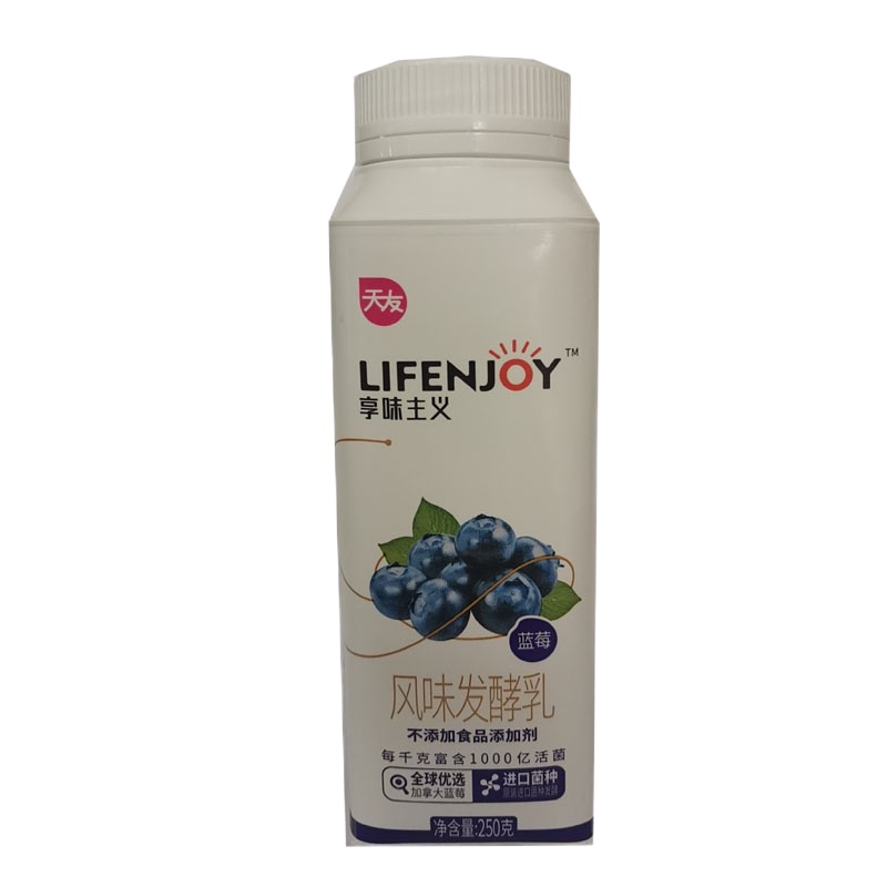 天友淳源风味发酵乳（蓝莓味） 250g