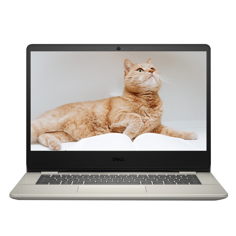 新款 戴尔 DELL 笔记本电脑 成就3400 十一代 酷睿i5 14.0英寸 金色 轻薄便携 网课学习 (i5-1135G7 16GB 512GB 锐炬Xe显卡)