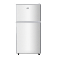 日普(RiPU) BCD-68A138D 双门冰箱小冰箱迷你小型家用冰箱租房宿舍 一级能效 冷藏冷冻 节能省两门电冰箱