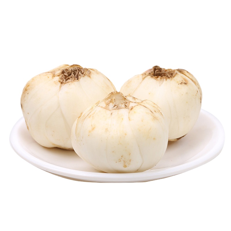 兰州新鲜百合250g四头皇 兰州鲜百合甜糯现挖鲜百合航空非百合干甜百合天然鲜百合无硫甘鲜生