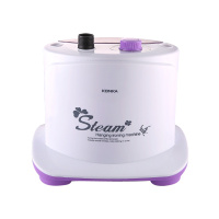 康佳(KONKA) 家用手持挂烫机千衣百慧KGGT-002B