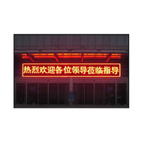 P10室内LED电子显示屏 160*320mm