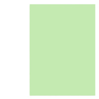 schoolchild 彩色卡纸硬A4彩色复印纸打印纸 绿色[100张] A4 硬卡纸160g