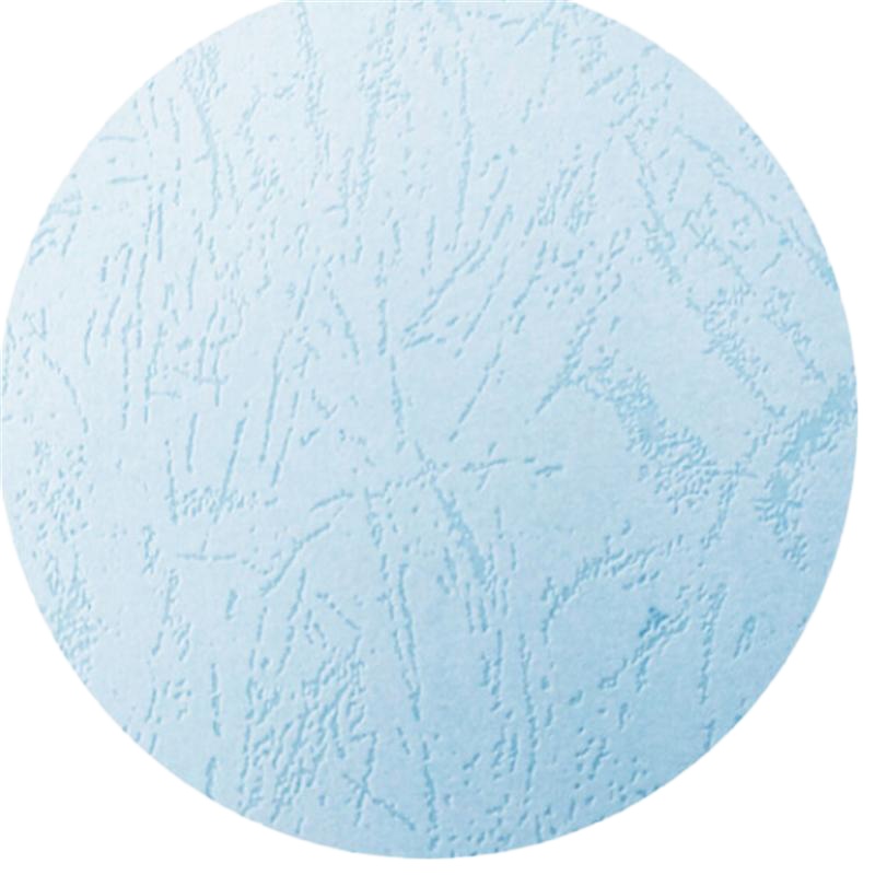 天章 A4 凹凸皮纹纸/封面纸 浅蓝色210克 100张/包 SQ