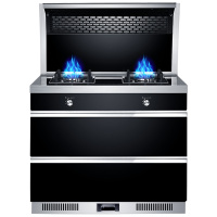 荣飞(Rongfei)集成灶一体灶台下排侧吸式油烟机厨房环保灶台自动清洗家用消毒柜套装900豪配款(天然气)