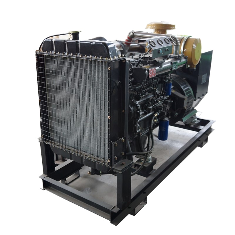 富诗梦 柴油发电机 20KW 单台装
