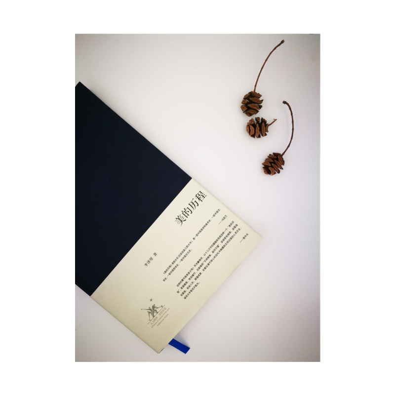 美的历程(李泽厚代表名作)