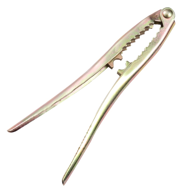 (赠品评价截图后联系客服领取)   松子钳(送针)随机一个