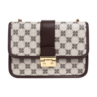 【顺丰配送】新款包包潮网红手机包链条斜挎百搭单肩女包