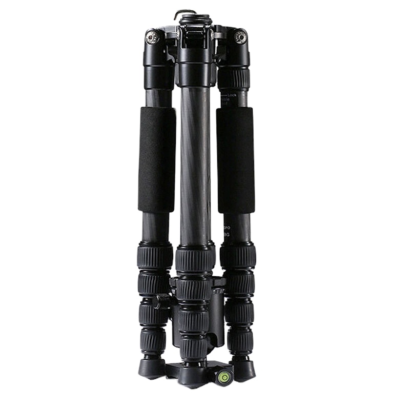 DTOTC捷宝（TRIOPO）碳纤维三脚架 G2509+Q-2 专业摄影支架 适用于佳能尼康索尼单反相机