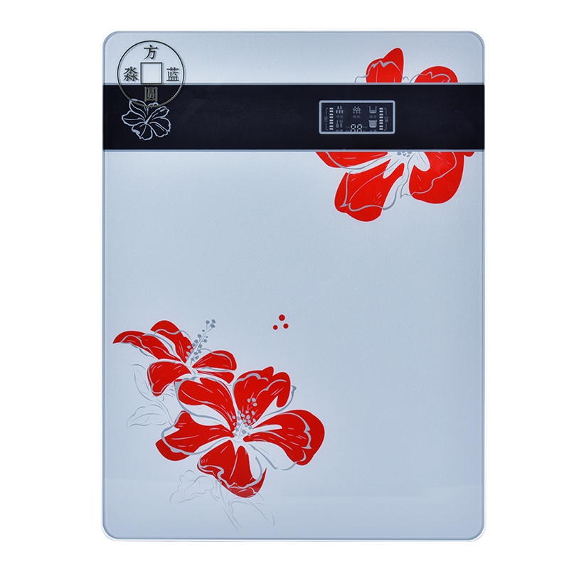 方蓝圆淼(FYLM)直饮机净水器家用 FYLM-RO100 RO反渗透双芯厨下式壁挂式净水机 双出水大通量净饮机 白色