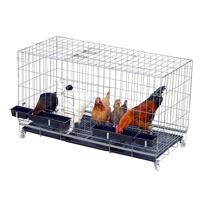 三清 加粗 100*60*70铁丝鸡笼+四件套 (蓝粉色)混色