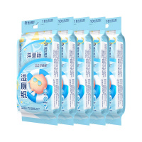 国光湿厕纸10片独立装*5提私处卫生清洁擦屁股湿巾如厕便携湿纸巾