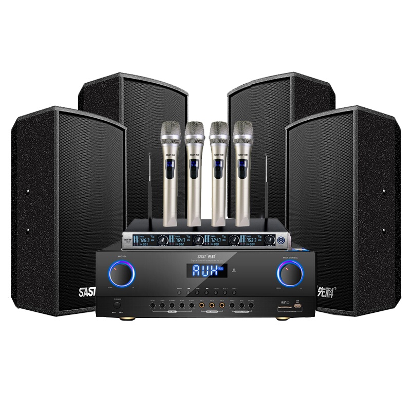 先科(SAST) 家庭影院ktv音响套装 专业会议音响全套 卡拉OK功放组合 多功能厅音箱套装