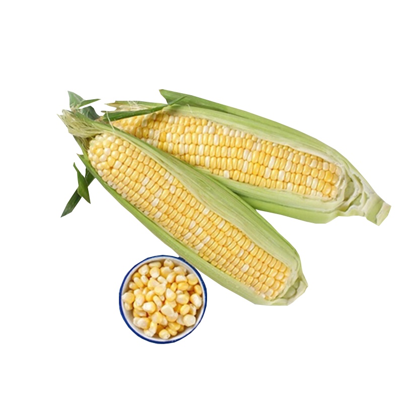 [五个农民]云南水果甜玉米新鲜苞米应季蔬菜整箱5斤装