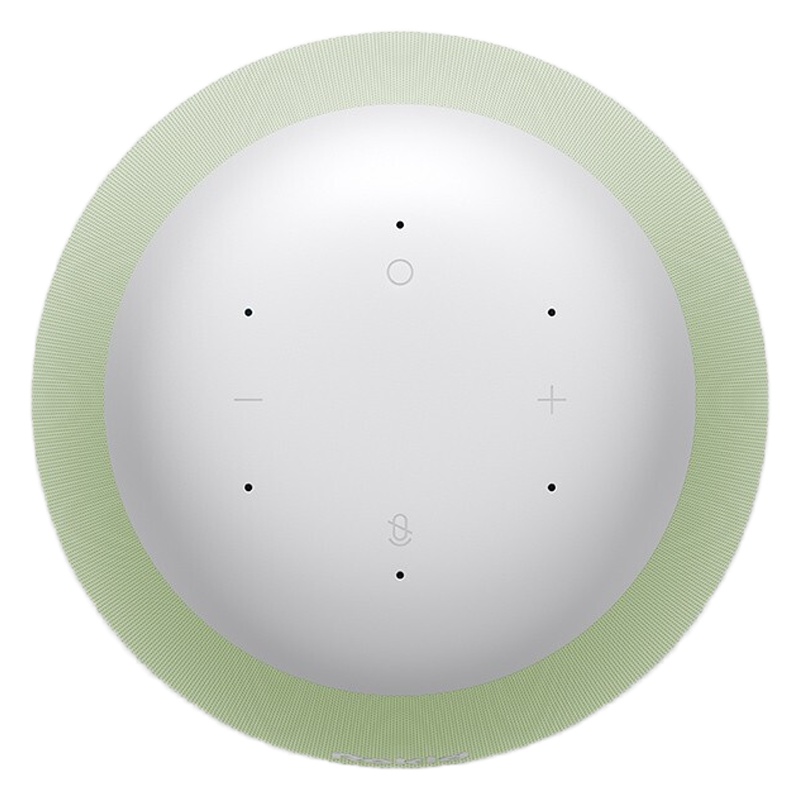 [赠品]ROKID panda 若琪熊猫 智能AI音箱 家庭智能中心 单拍不发货