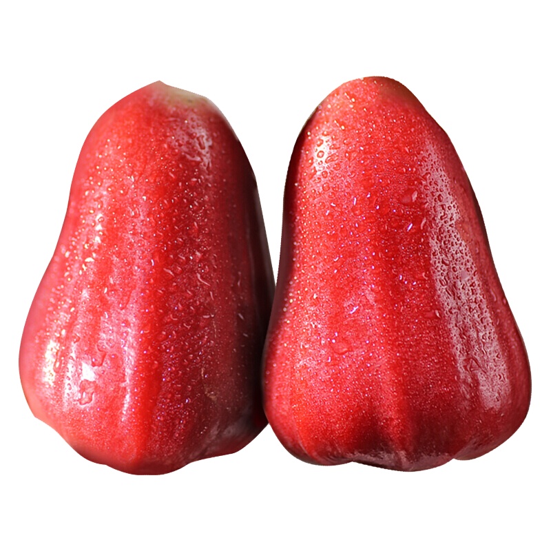 海南红宝石莲雾2.5-3斤 当季鲜果 热带水果