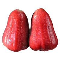 海南红宝石莲雾2.5-3斤 当季鲜果 热带水果