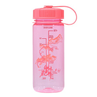 诺诗兰（NORTHLAND）运动户外水壶500ml饮水杯A990199