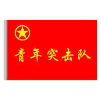 定制 旗帜 96*144cm