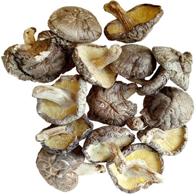 [中华特色]梅州助农馆 银新 客家特产煲汤料 香菇 原木香菇 300克/袋 华南