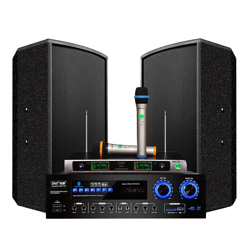 先科(SAST) 家庭影院ktv音响套装 专业会议音响全套 卡拉OK功放组合 多功能厅音箱套装