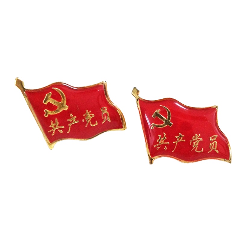 党徽为人名服务党员胸章强磁铁党徽10个装