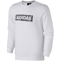 adidas男服卫衣套头衫休闲运动服DW4606 L DW4606白色